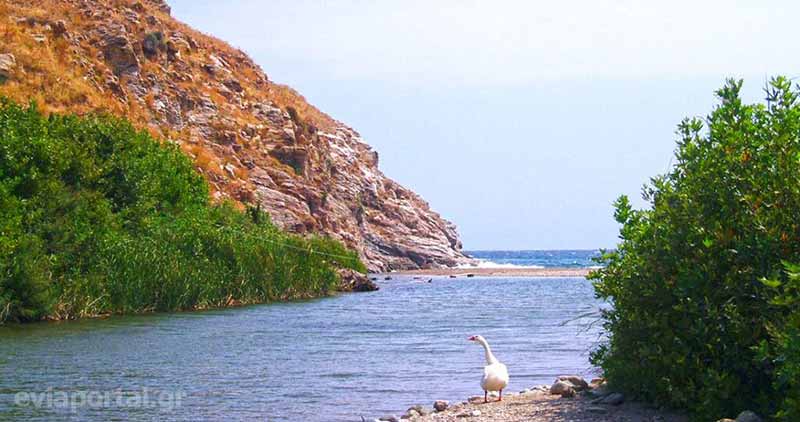 Παραλία Ποτάμι Εύβοια